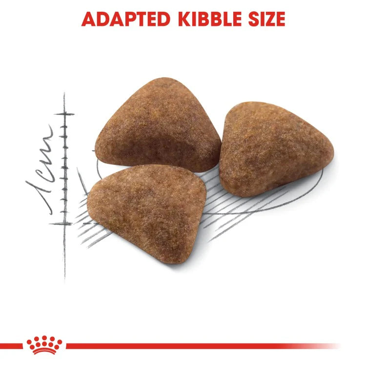 Royal Canin Feline Health Nutrition Indoor 27 Dry Cat Food 4 KG
