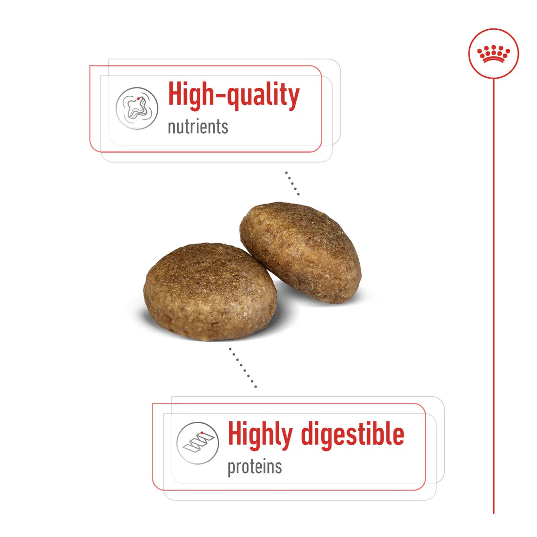 Royal Canin Size Health Nutrition Maxi Adult 15 KG