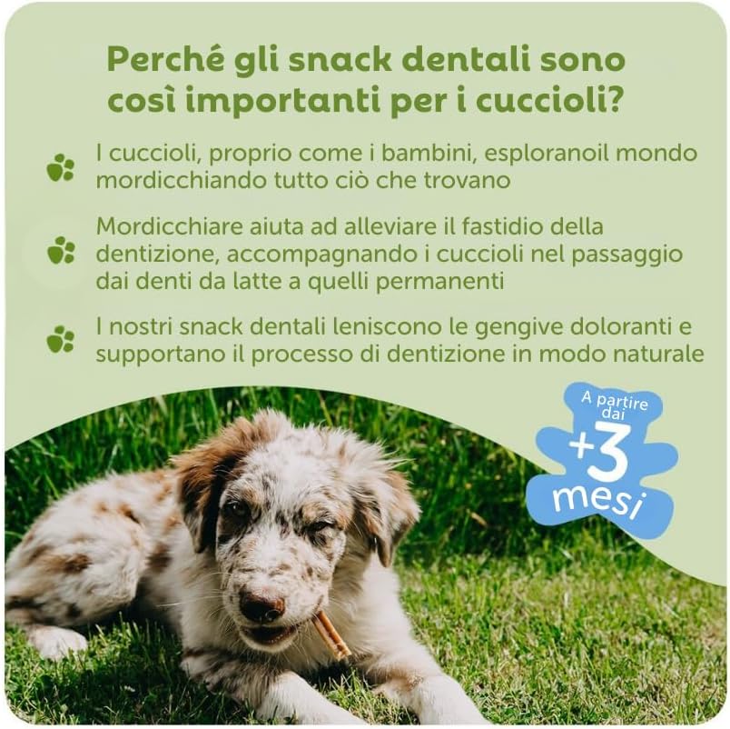 Whimzees Puppy Dental Dog Treats - Stix M/L 14pcs