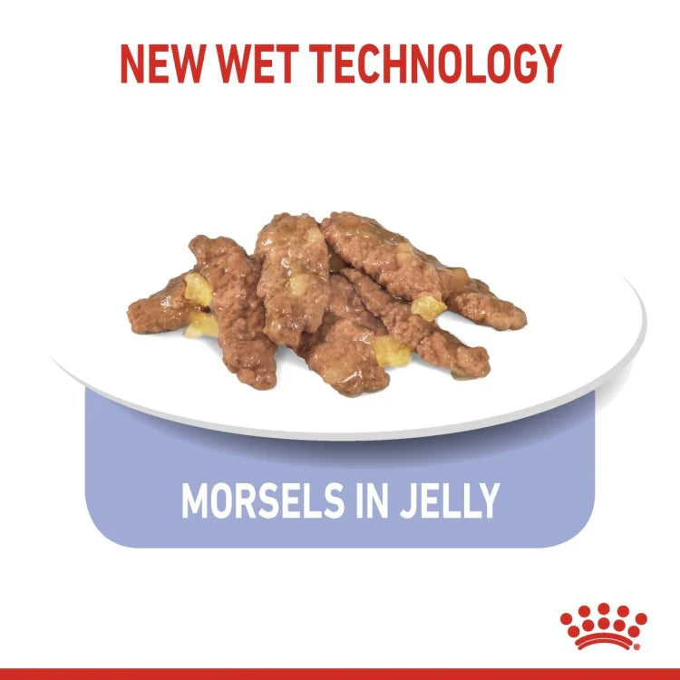 Royal Canin Feline Health Nutrition Indoor Jelly (WET FOOD - Pouches) 85g