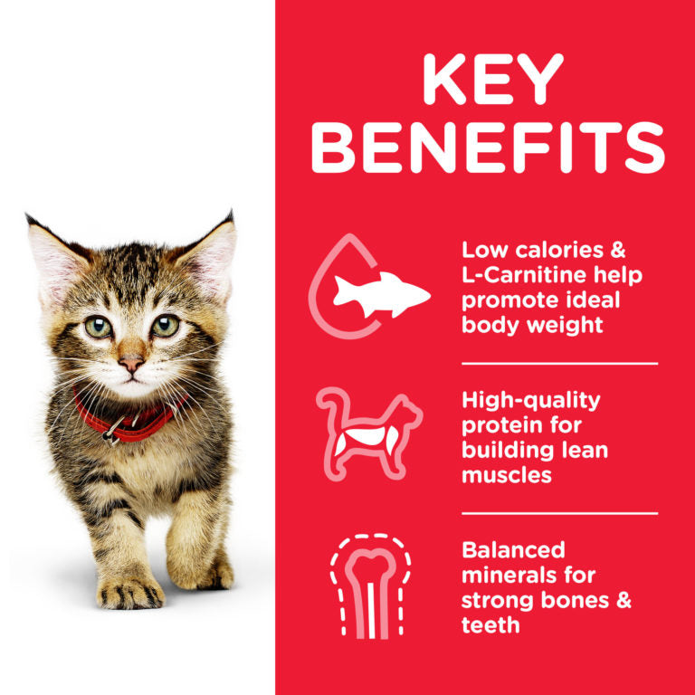Hill’s Science Plan Kitten Food With Chicken 300g