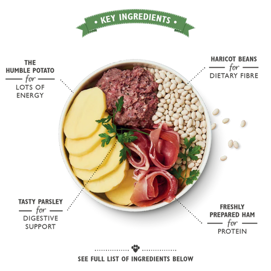 Lily's Kitchen Great British Breakfast Wet Dog Food