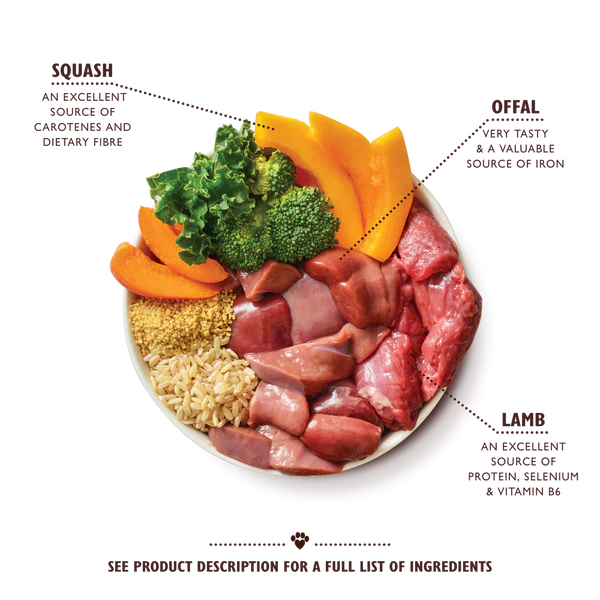 Lily's Kitchen Dog Tagine LAMB