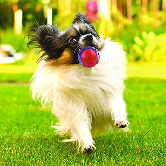 GIGWI G-Ball Purple/Blue Squeaker Transparent (Medium)