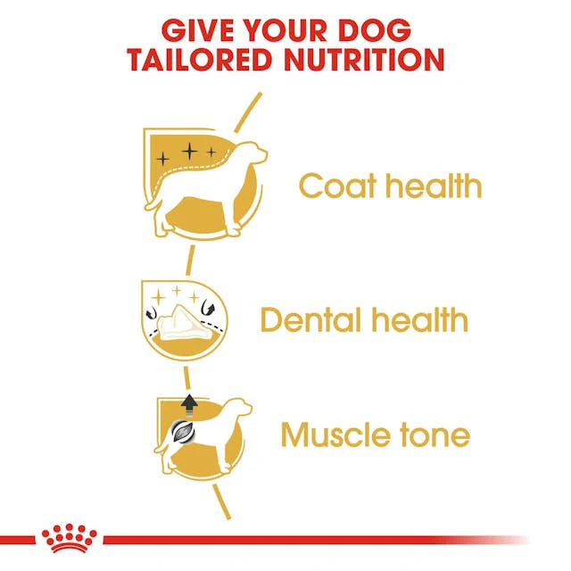 Royal Canin Breed Health Nutrition Poodle Adult 1.5 KG