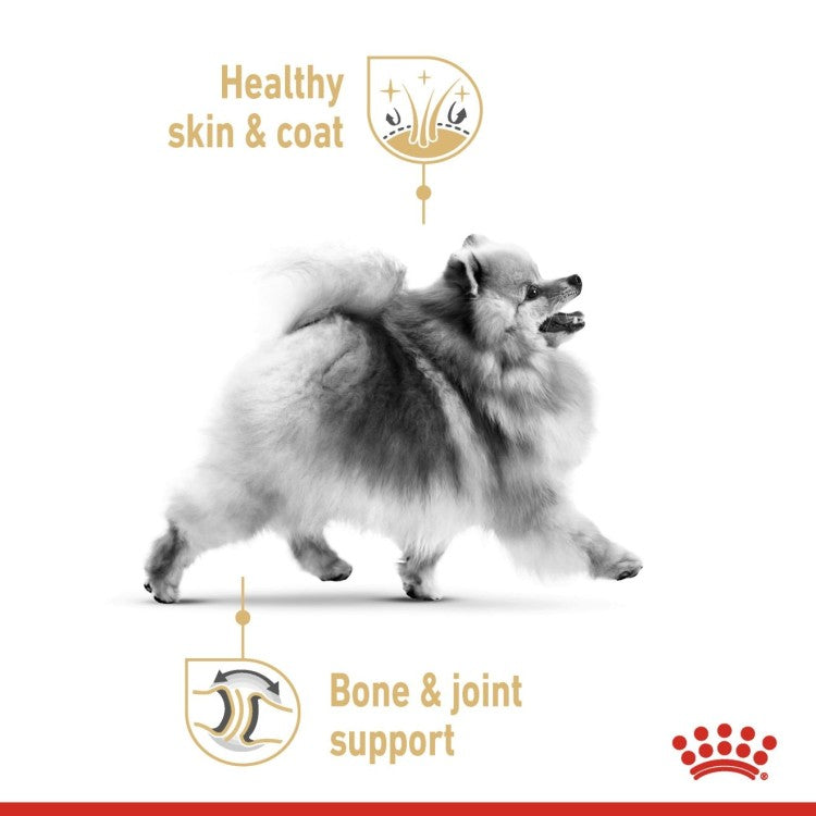 Royal Canin Breed Health Nutrition Pomeranian (Wet Food - Pouches) 12 x 85 g