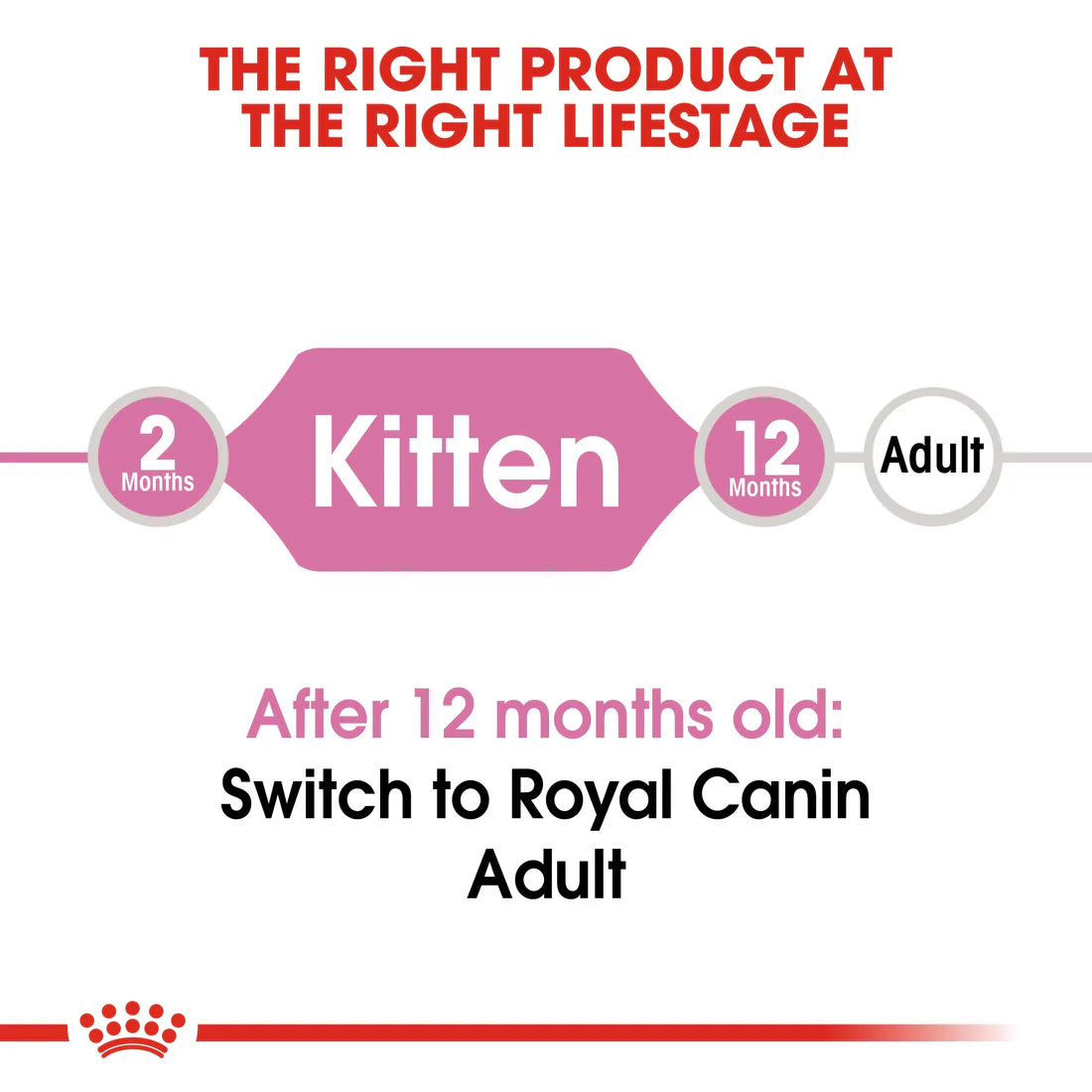 Royal Canine Feline Health Nutrition Kitten