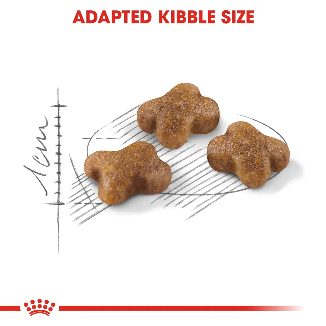 Royal Canine Feline Health Nutrition Kitten