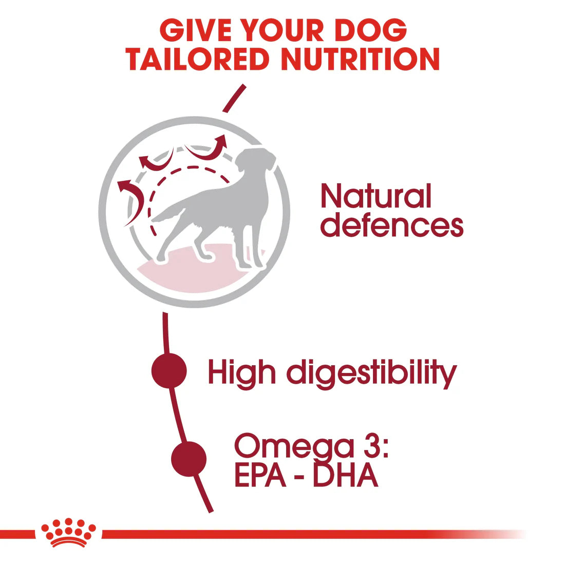 Royal Canin Size Health Nutrition Medium Adult