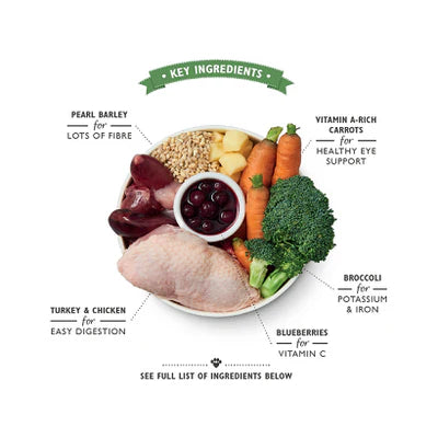 Lily's Kitchen Chicken & Turkey Casserole Wet Dog Food