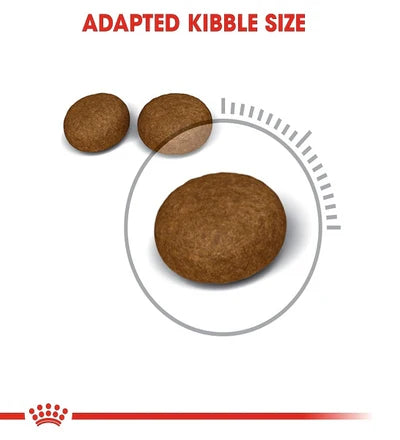 Royal Canin Feline Care Nutrition Hair & Skin 2 KG
