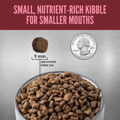 Orijen Small Breed Protein-Rich Dog Dry Food