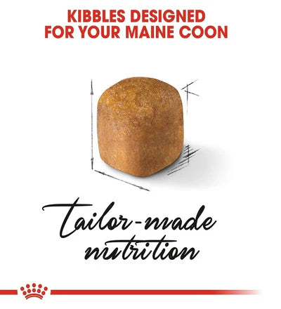 Royal Canin Feline Breed Nutrition Maine Coon Kitten 2 KG