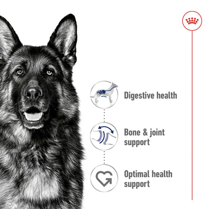 Royal Canin Size Health Nutrition Maxi Adult 15 KG