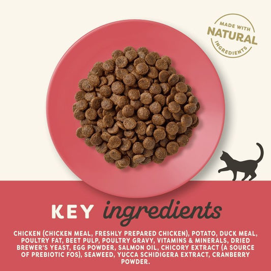 Applaws Chicken with Duck Adult Dry Cat Food 2KG