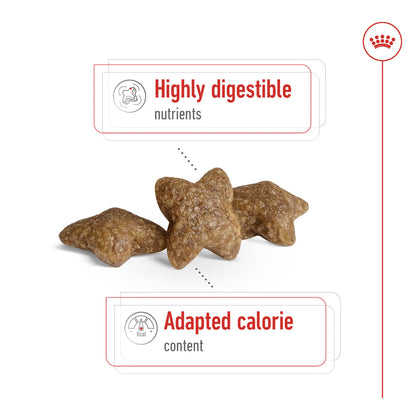 Royal Canin Size Health Nutrition Mini Adult 8 KG