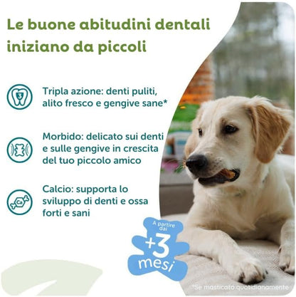 Whimzees Puppy Dental Dog Treats - Stix M/L 14pcs