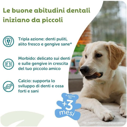 Whimzees Puppy Dental Dog Treats - Stix M/L 14pcs