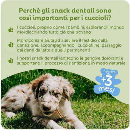 Whimzees Puppy Dental Dog Treats - Stix M/L 14pcs