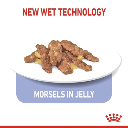 Royal Canin Feline Health Nutrition Indoor 7 Jelly (WET FOOD - Pouche) 85g