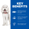 Hill’s Science Plan Hypoallergenic Medium Breed Adult Dry Dog Food with Salmon 2.5kg