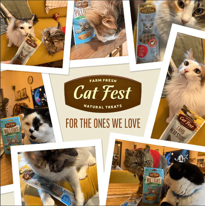 Cat Fest Meat Sticks Lamb For Cat - 45g