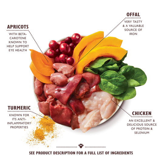 Lily's Kitchen Coronation Chicken Wet Dog Food