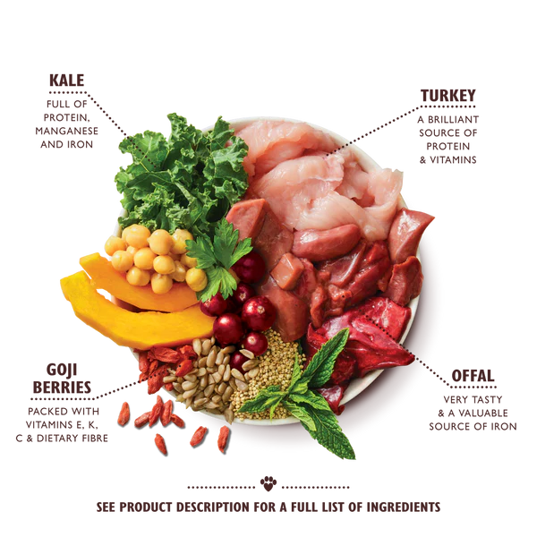 Lily's Kitchen Lean Machine Wet Dog Food TURKEY