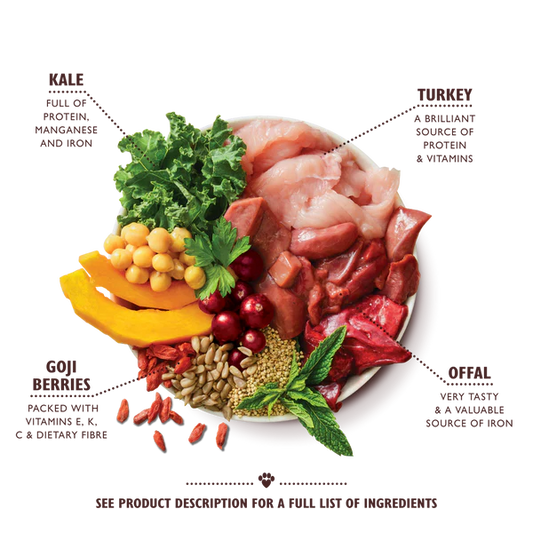 Lily's Kitchen Lean Machine Wet Dog Food TURKEY