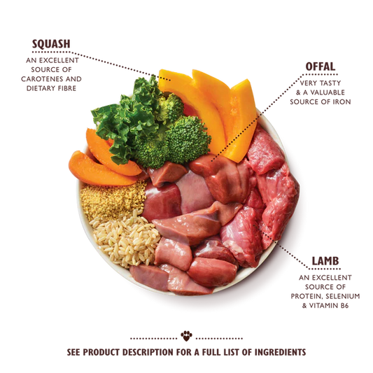 Lily's Kitchen Dog Tagine LAMB