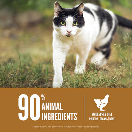 Orijen Original Protein-Rich Cat Dry Food 5.4 KG