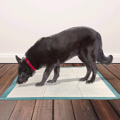 Simple Solution Puppy Training Pads XL – 10
