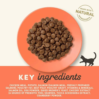 Applaws Chicken with Salmon Adult Dry Cat Food 2KG