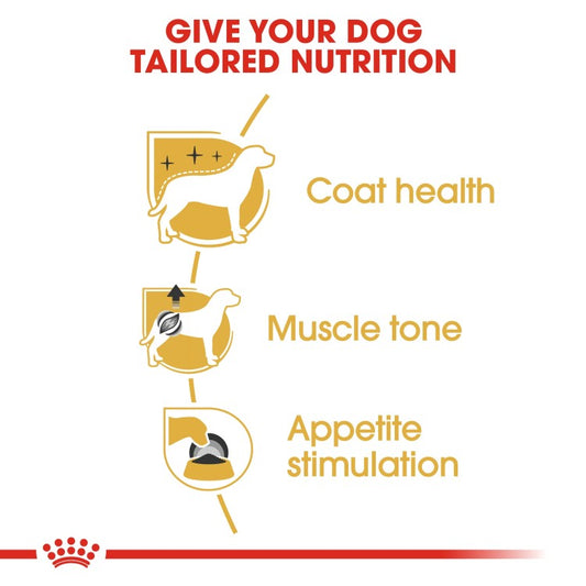 Royal Canin Breed Health Nutrition Poodle Adult (Wet Food - Pouches) 12 x 85 g