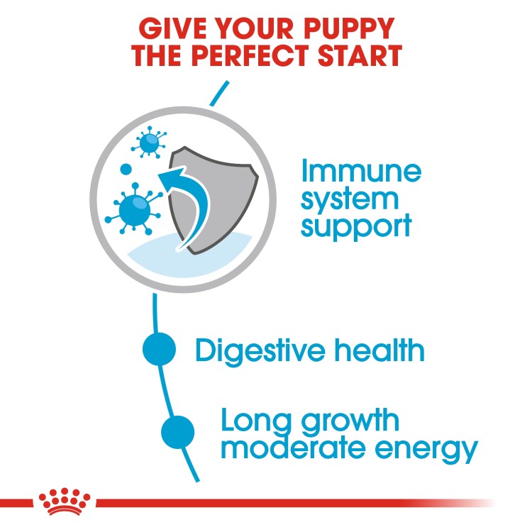 Royal Canin Size Health Nutrition Maxi Puppy (Wet Food - Pouches) 10 x 140 g