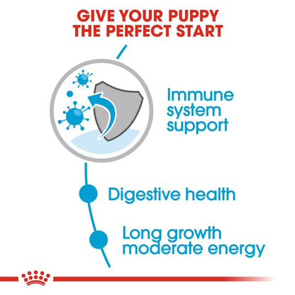 Royal Canin Size Health Nutrition Maxi Puppy (Wet Food - Pouches) 10 x 140 g