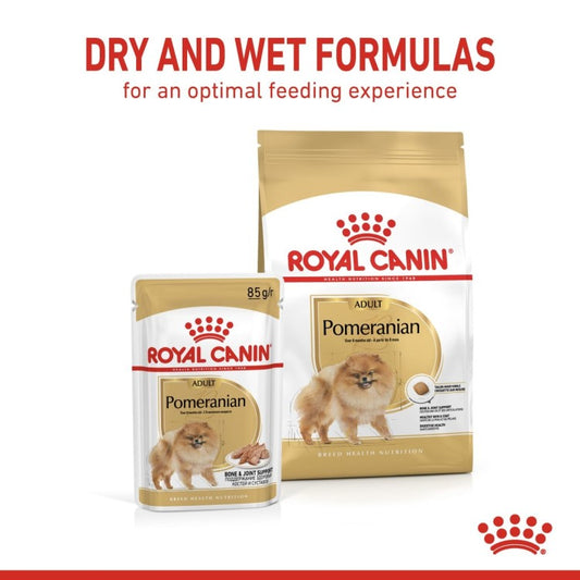 Royal Canin Breed Health Nutrition Pomeranian (Wet Food - Pouches) 12 x 85 g