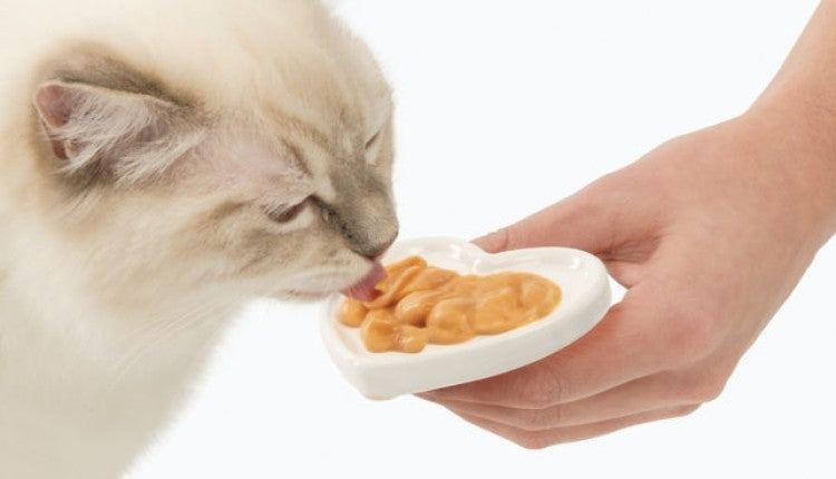 Catit Creamy Lickable Treats, Tuna, 12pk/box