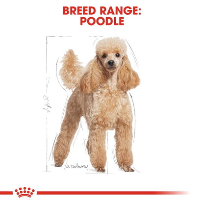 Royal Canin Breed Health Nutrition Poodle Adult (Wet Food - Pouches) 12 x 85 g