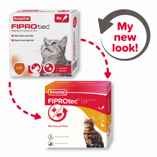 Beaphar Fiprotec for Cat, 4 Pipettes
