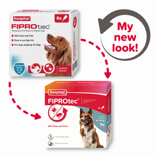 Beaphar Fiprotec for Medium Dog, 4 Pipettes