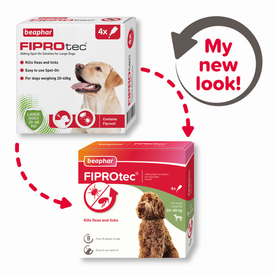 Beaphar Fiprotec for Large Dog, 4 Pipettes
