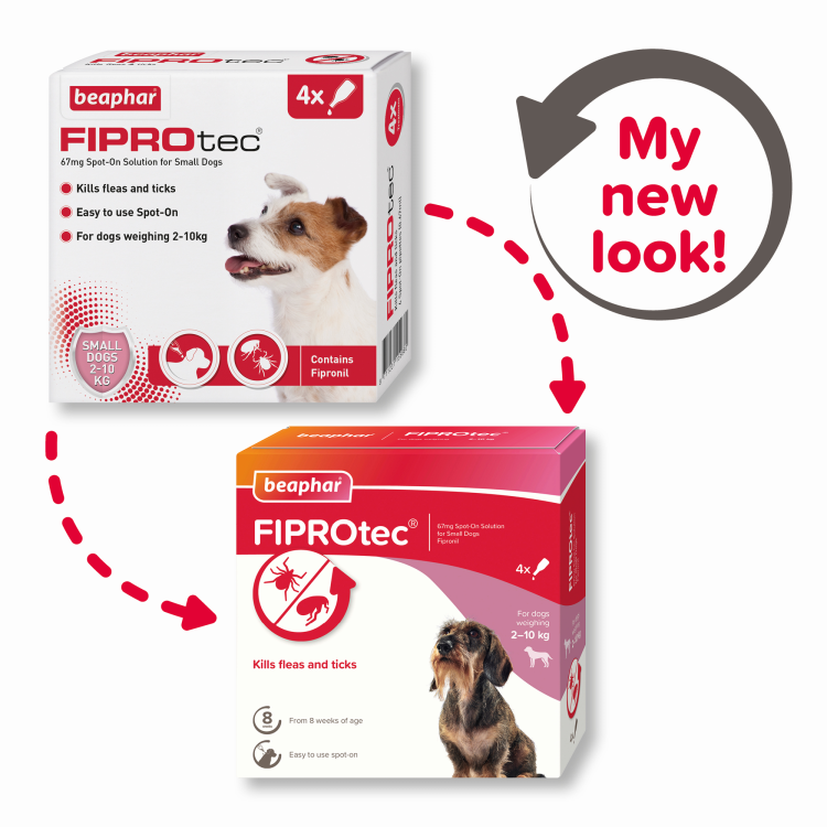 Beaphar Fiprotec for Small Dog, 4 Pipettes