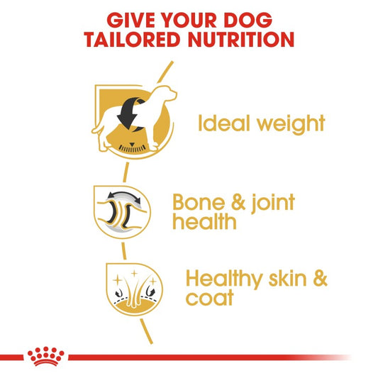 Royal Canin Breed Health Nutrition Labrador Adult 12 kg