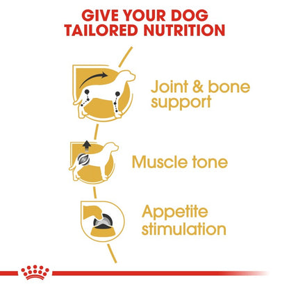 Royal Canin Breed Health Nutrition Dachshund Adult (Wet Food - Pouches) 12 x 85 g