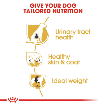 Royal Canin Breed Health Nutrition Bichon Frise Adult 1.5 kg