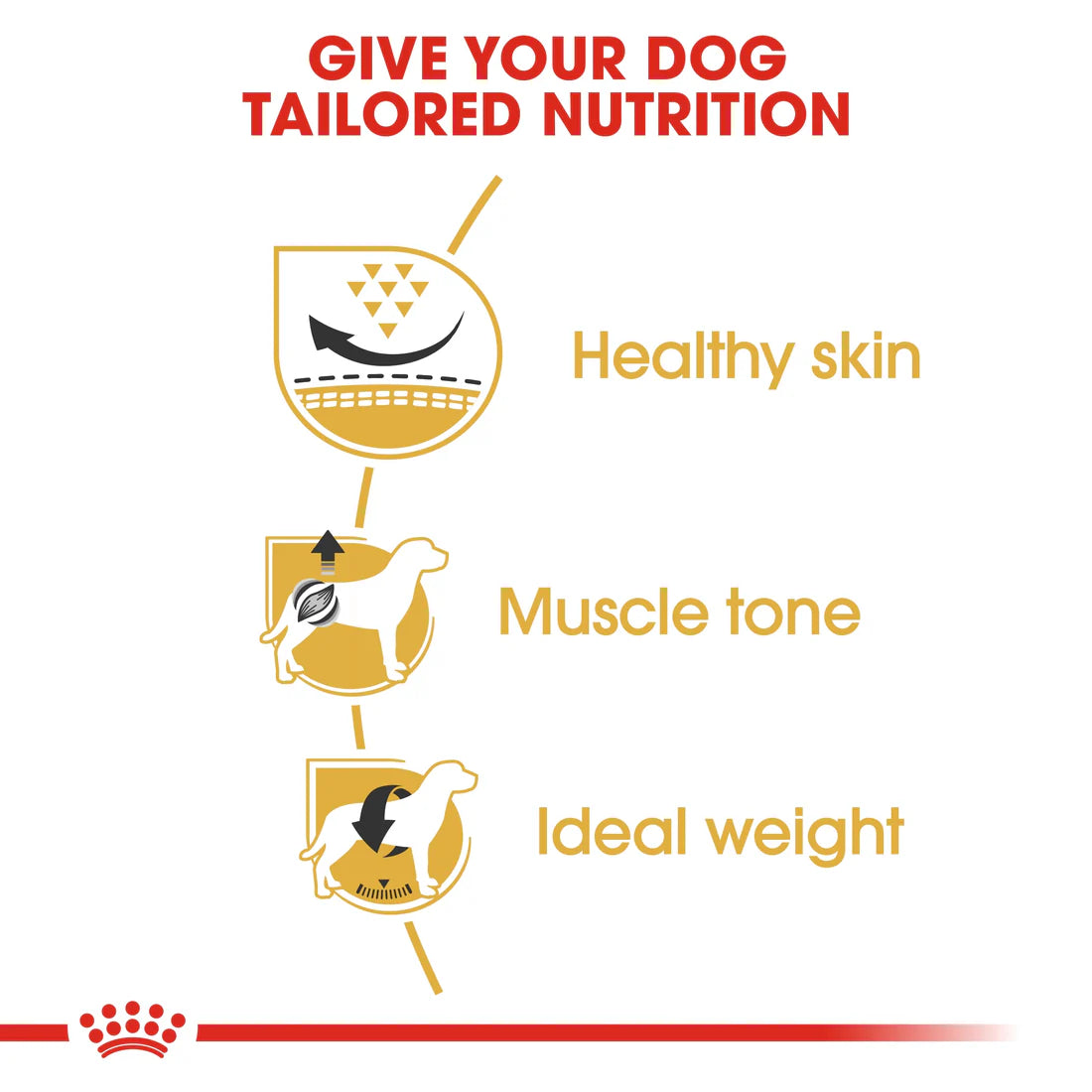 Royal Canin Breed Health Nutrition Pug Adult 1.5 KG