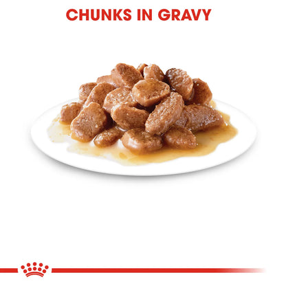Royal Canin Feline Care Nutrition Hairball Gravy (WET FOOD - Pouches) 12 x 85g