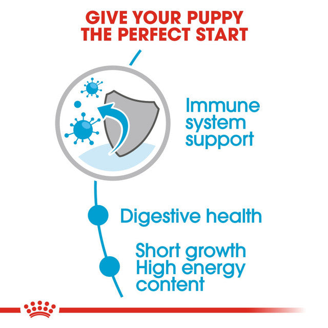 Royal Canin Size Health Nutrition Medium Puppy (WET FOOD - Pouches) 1x140g