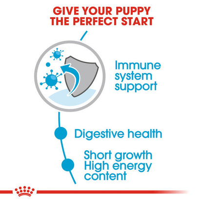 Royal Canin Size Health Nutrition Medium Puppy (WET FOOD - Pouches) 1x140g